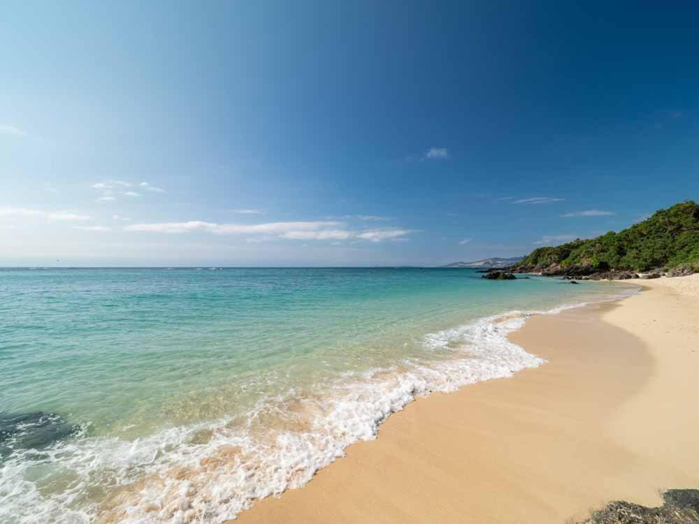 אונה Beach Resort Hotel Kalakaua מראה חיצוני תמונה